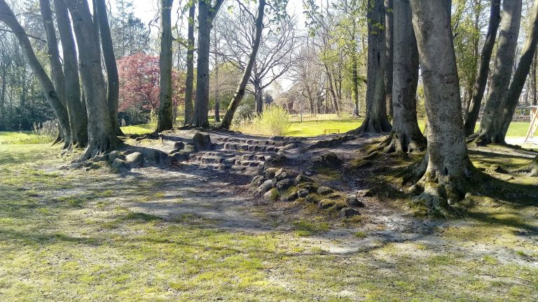 tree-lined pathways in a city park
